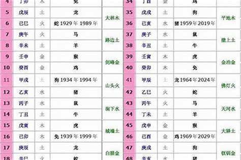 2005年生肖五行|2005年出生是什么命运势如何？什么五行？